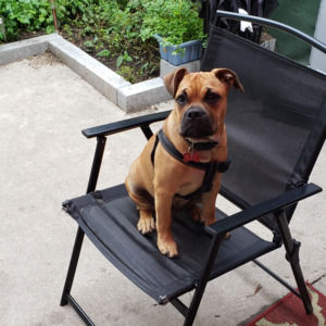 Meet your Posher, Tammy